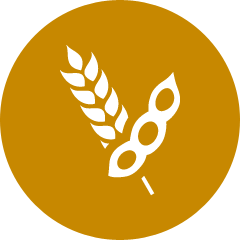 The organic cereals of Agribio Union, organic soya producer