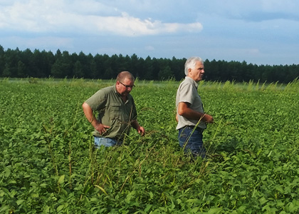 Les territoires d'Agribio Union, producteur de blé bio : côte Atlantique