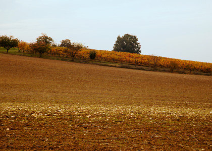 The Lands of Agribio Union, organic wheat producer: Gascogne - Périgord