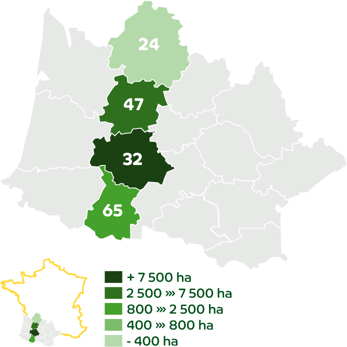 The Lands of Agribio Union, organic wheat producer: Gascogne - Périgord