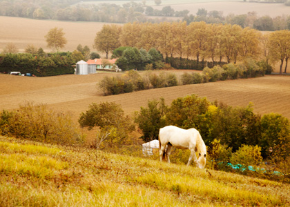 he Lands of Agribio Union, organic wheat producer: Lauragais – Mediterranean