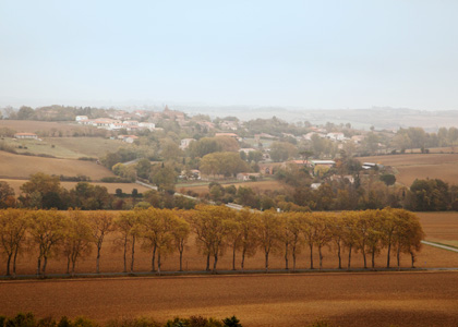 he Lands of Agribio Union, organic wheat producer: Lauragais – Mediterranean