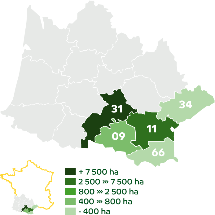 Les territoires d'Agribio Union, producteur de blé bio : Lauragais - Méditerranée