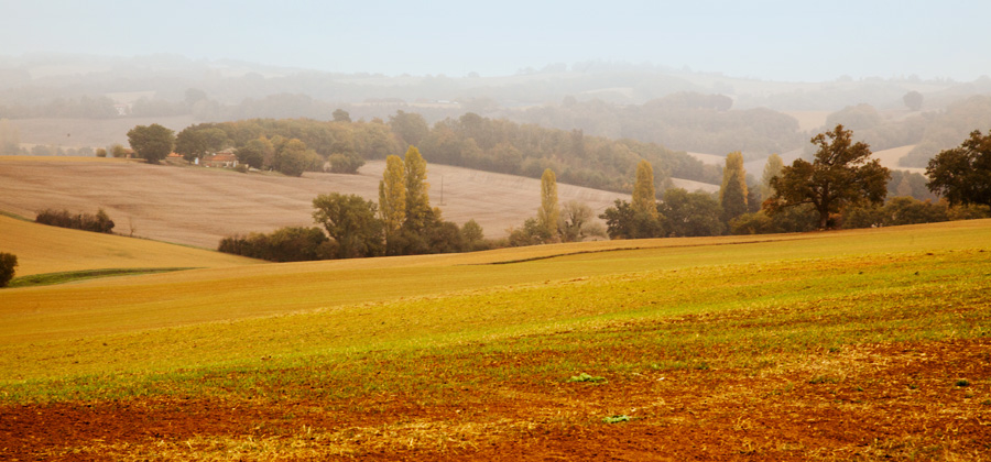 Agribio Union, producteur de blé bio