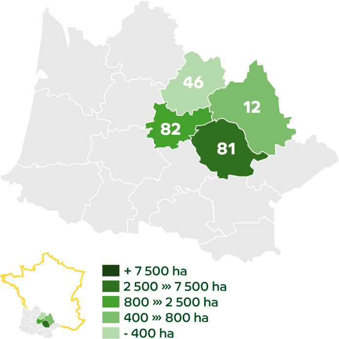 The Lands of Agribio Union, organic wheat producer: Tarn, Quercy, Aveyron