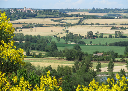 The Lands of Agribio Union, organic wheat producer