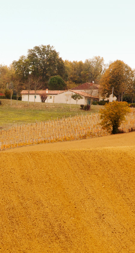 Agribio Union, producteur de céréales biologiques