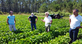 Technical support from Agribio Union, organic sunflower producer