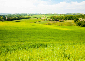 Les territoires d’Agribio Union, producteur de blé bio : Tarn, Quercy, Aveyron